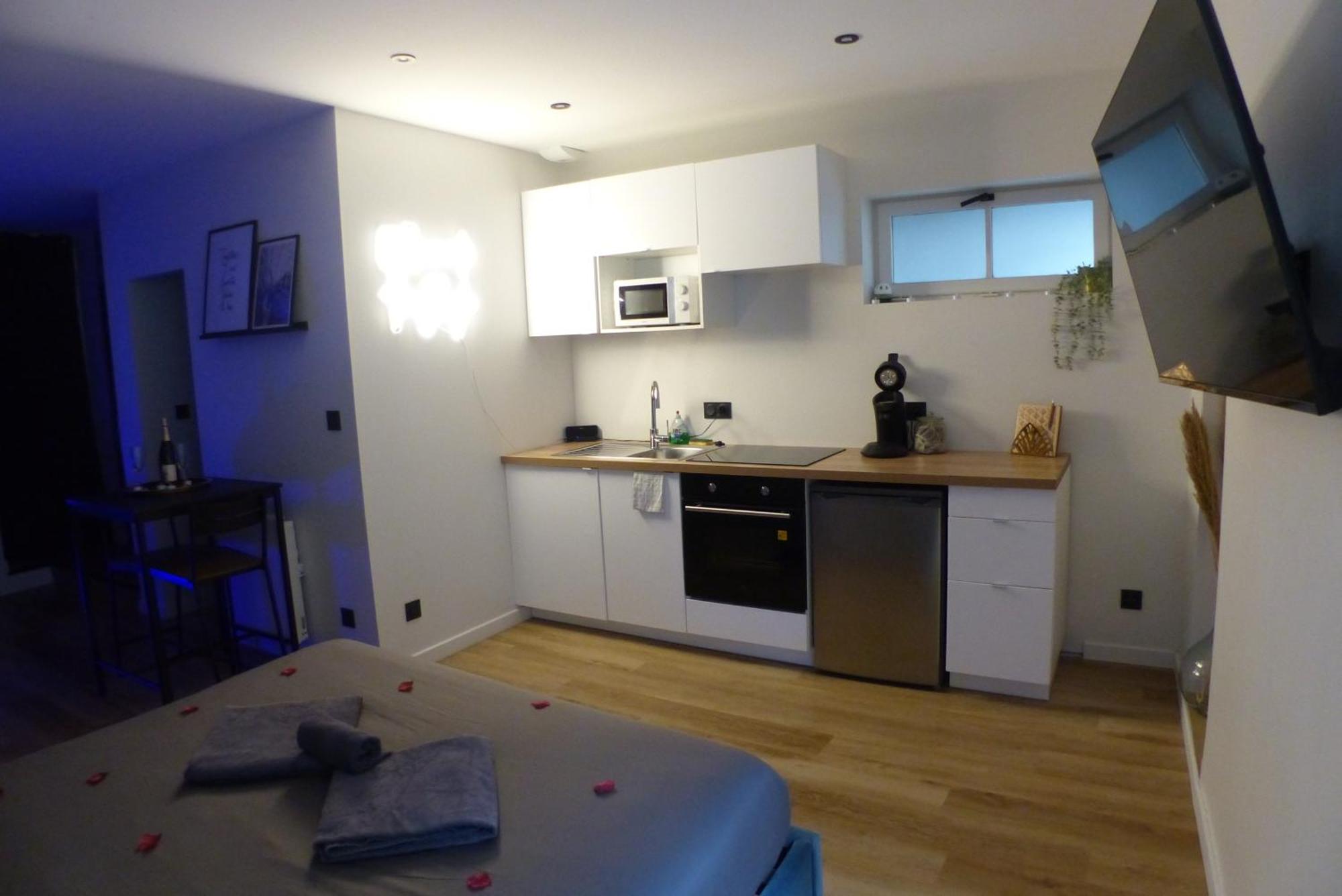 Appartement Balneotherapie Et Sauna Hyper Centre Nantes Buitenkant foto